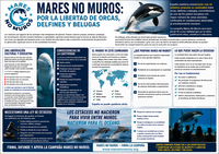 Mares no Muros