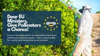 Proyecto Gran Simio junto a 33 Asociaciones Internacionales solicitan a la UE protección para los polinizadores y las abejas frente a los plaguicidas.