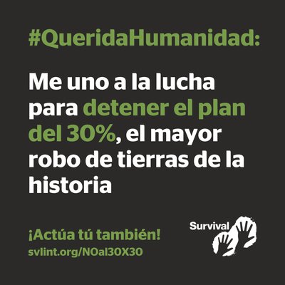 Proyecto Gran Simio se une a la campaña de Survival " Día de la Diversidad Humana"